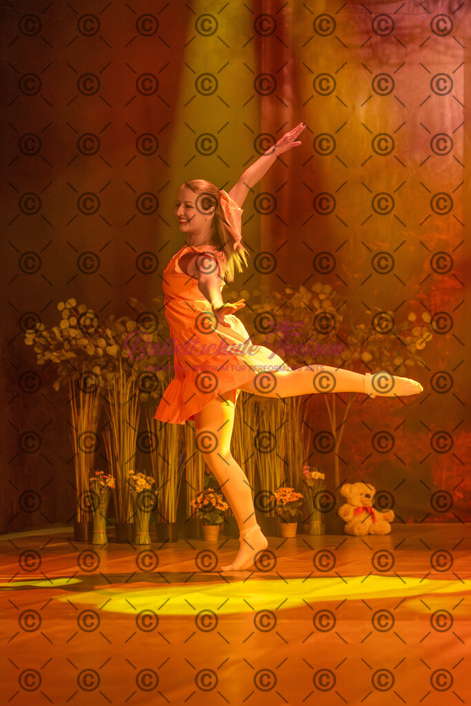 Ballettaufführung-1558 | Bildershop Lem'n Entertainment - Realisiert mit Pictrs.com