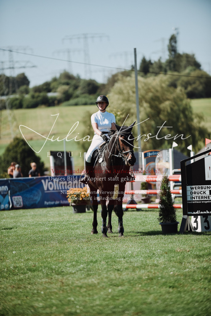 DSC_3053 | Pferde- und Turnierfotografie in Westsachsen. Pferdeportraits, Auftragszeichnungen und intuitive Kunst.