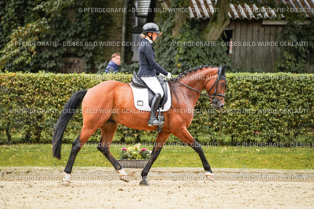 DSC07256 | Pferdegrafie