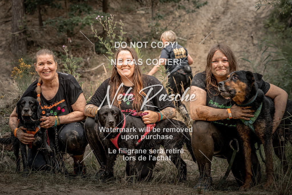 nelerasche_sa1300-1345_583 | nelerasche