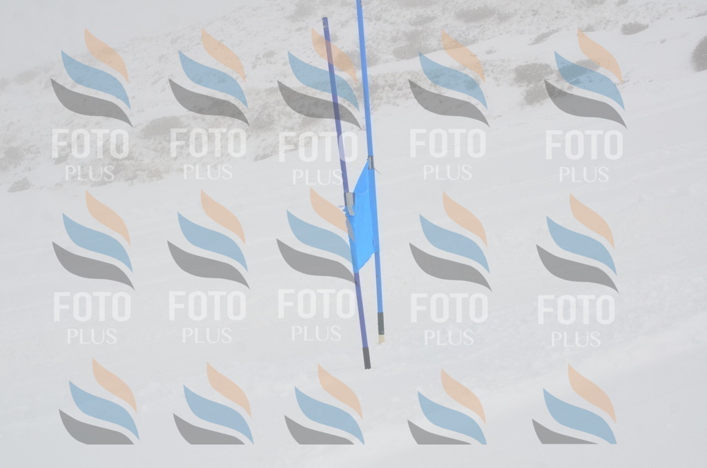 A5413 | holidayphoto