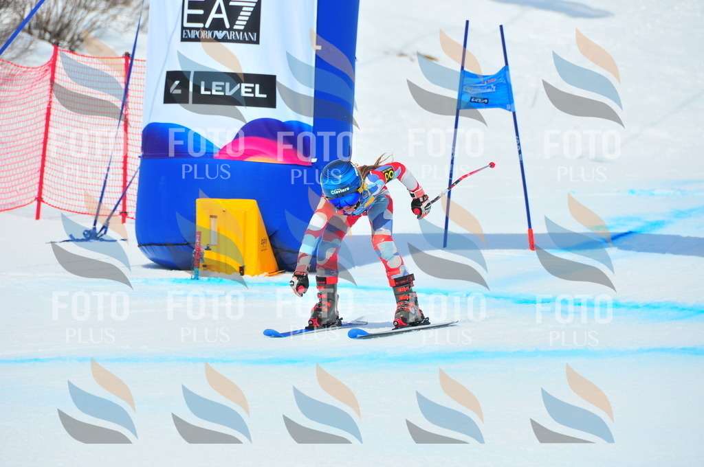 DSC_6005 | holidayphoto