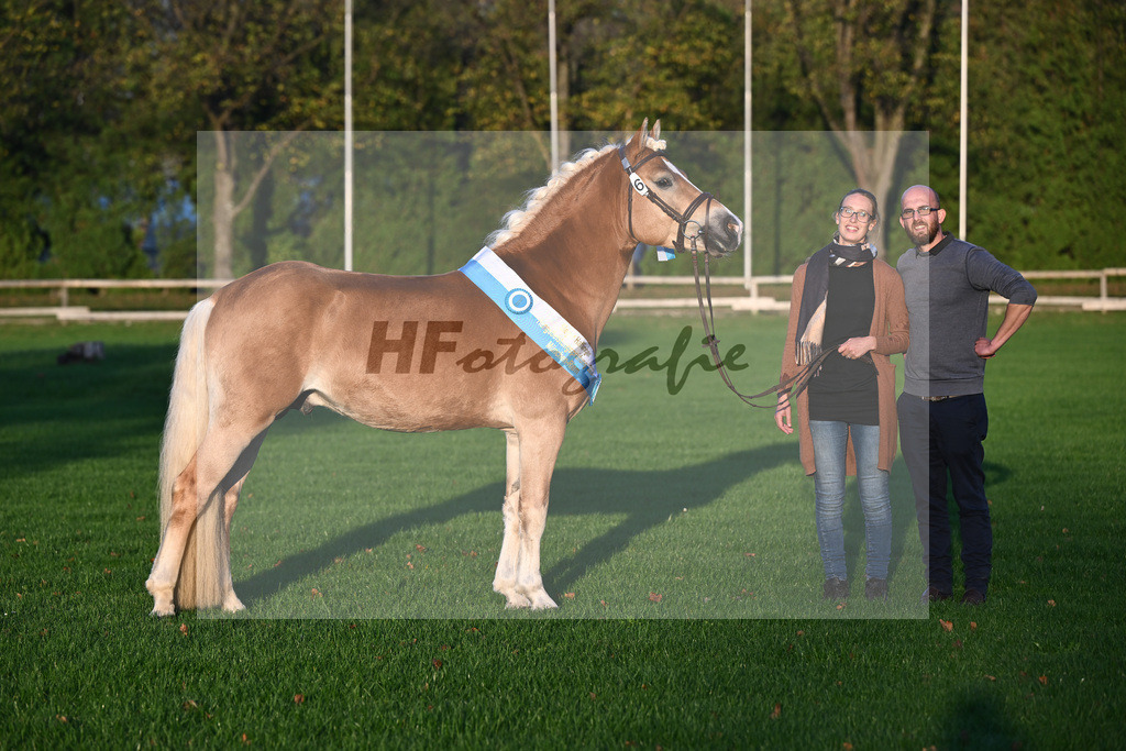 Kat-Nr. 6 Solero-D_Mahlknecht_44241161 | hf-fotografie - Realisiert mit Pictrs.com