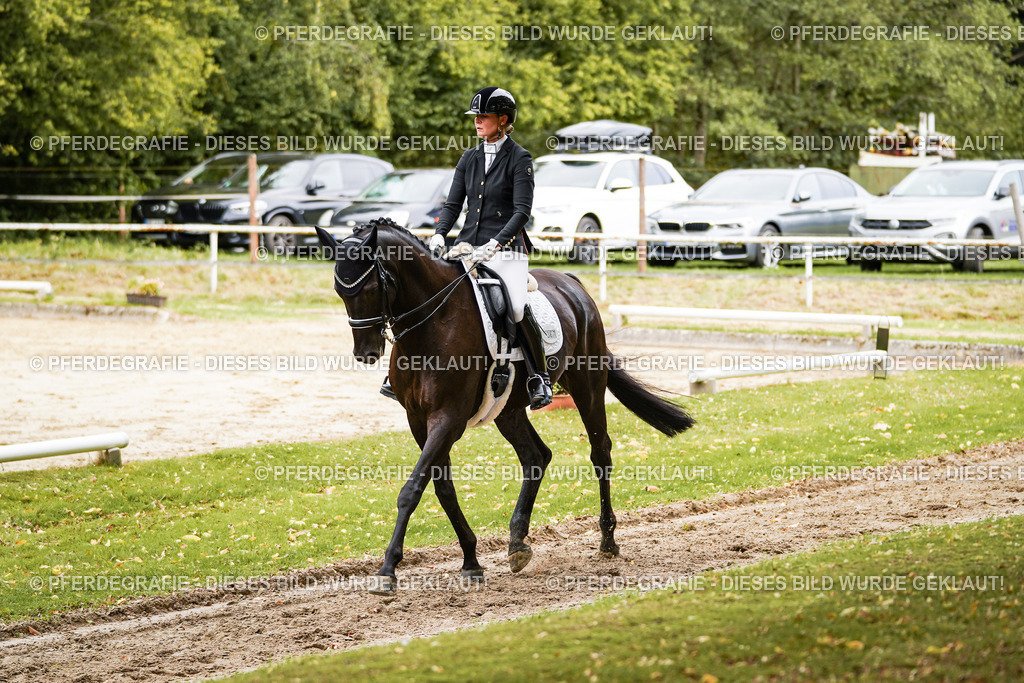 DSC02474 | Pferdegrafie