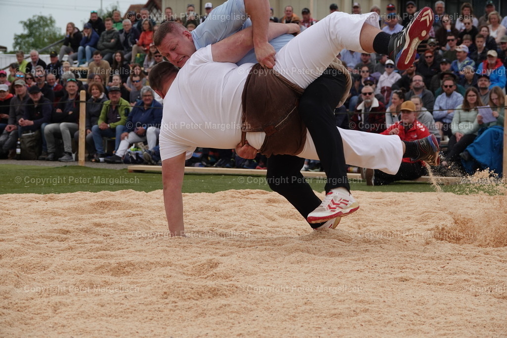 DSC03622 | Schwingen - Realisiert mit Pictrs.com