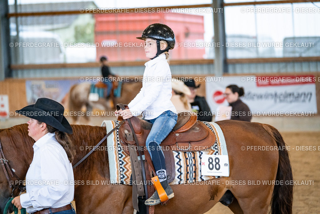 DSC00883 | Pferdegrafie