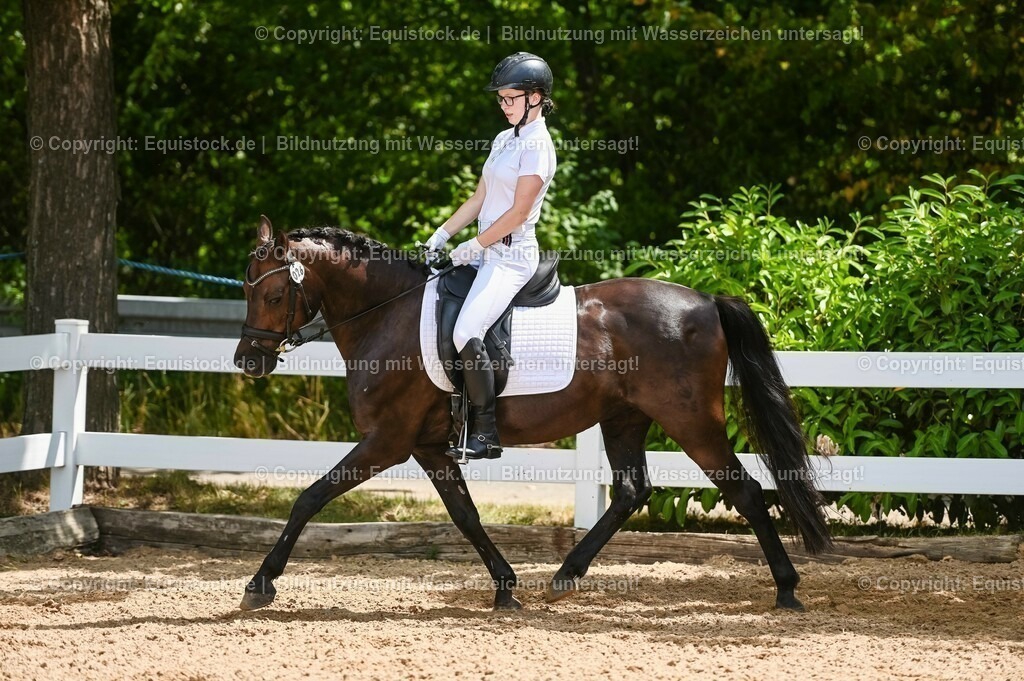 20230715_09_Dressur-WB_0226 | equistock