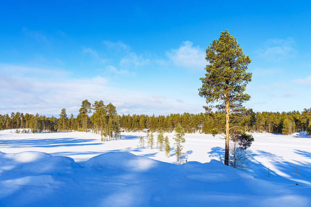 Landschaft mit Schnee im Winter bei Kuusamo, Finnland | Landschaft mit Schnee im Winter bei Kuusamo, Finnland.