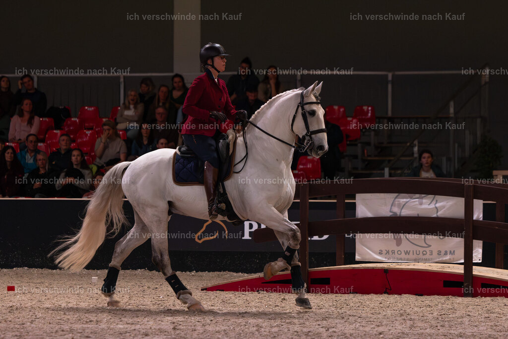 JoseraCup-108 | working equitationturnier fotograf videograf stoibphotography marixx film working equitation deutschland reitsport turnierfotografie eventfotografie equestrian events