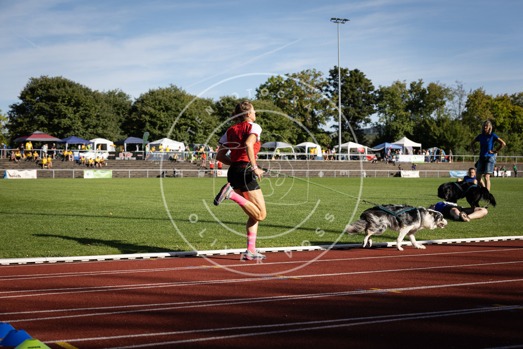 Pfotenfotografie_DV3A9313 | Hundefotografie, Tierfotograf, Pfotenfotografie, Fotoshooting Hund, Hunde Portrait, Hundesport, Hundeportraits, Heideshooting, Hunde, Sportfotograf, Hundefotograf, Turnierhundsport, THS,  - Realisiert mit Pictrs.com
