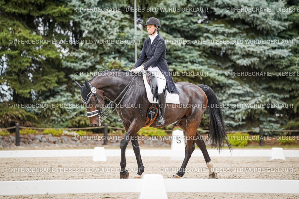 DSC06769 | Pferdegrafie