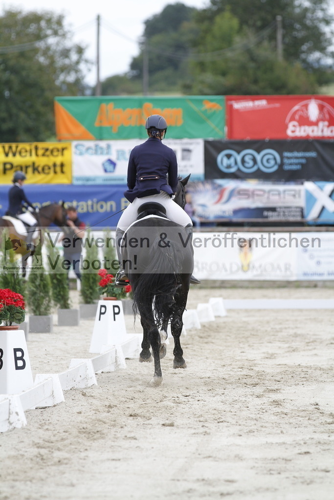 _MG_5015 | equestrian-live-com