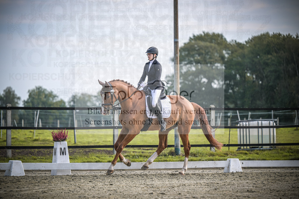 DOS_B068 | Entdecke hochwertige Reitturnierfotos von Foto Oger. Professionell, emotional und authentisch – jetzt Lieblingsmomente im Shop bestellen.Deutschlandweite Turnierfotografie. - Realisiert mit Pictrs.com