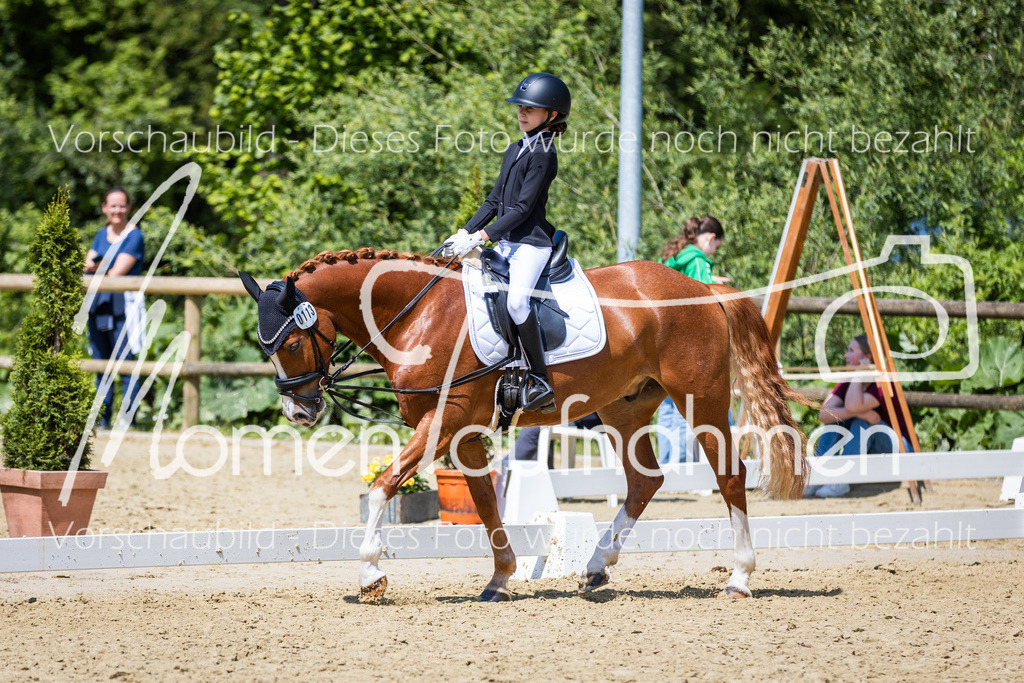 Donop24-RWB-044 | MomenTaufnahmen Pferdesportfotos