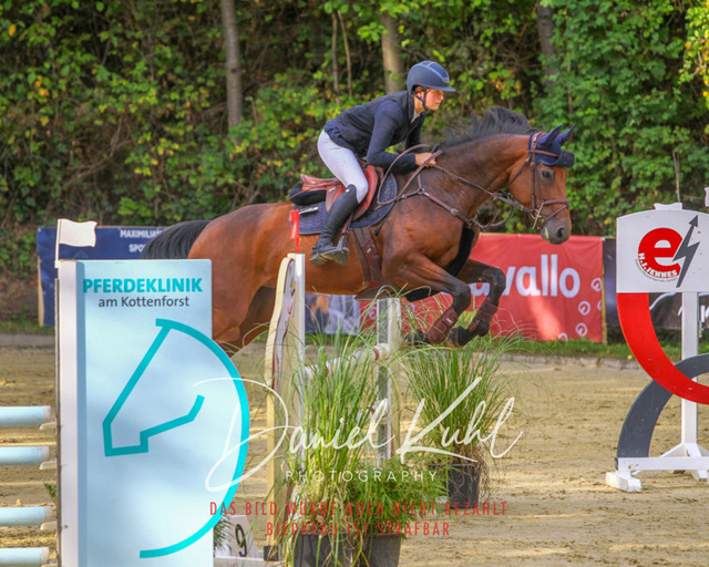 DKP42556 | Turniersportfotografie; Pferdefotografie; Dressurfotografie