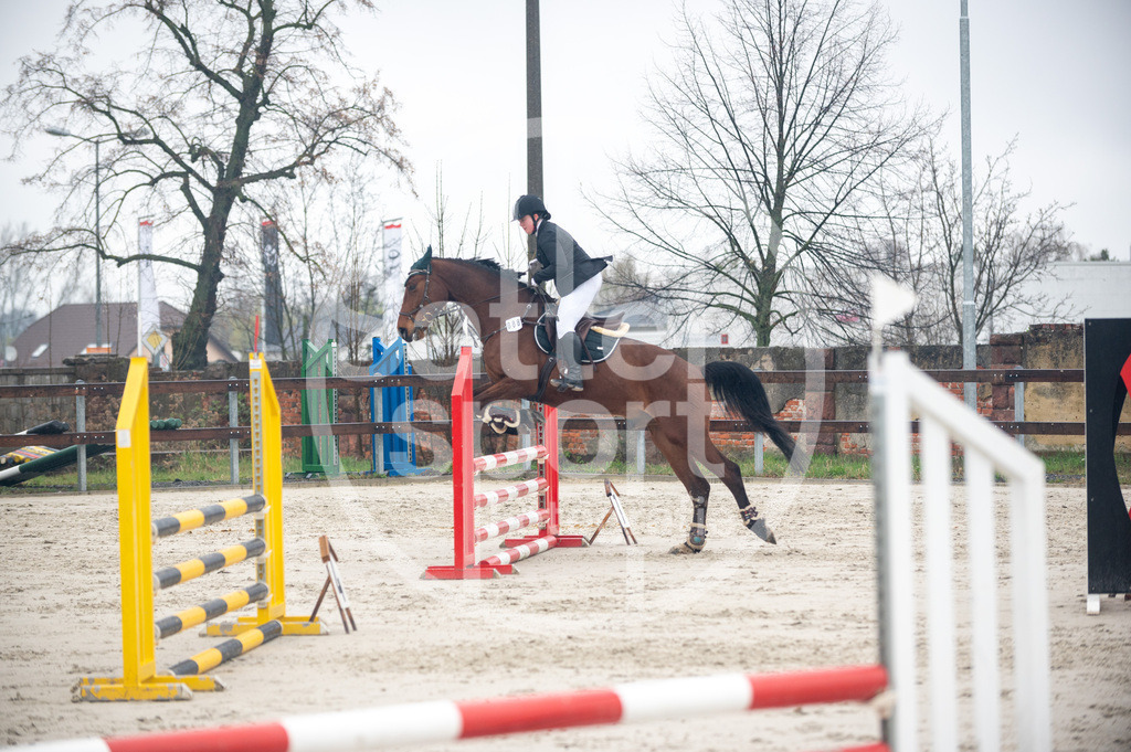 DSC_8881 | sattelsport - Realisiert mit Pictrs.com