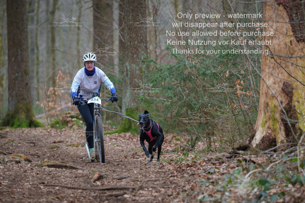 Scooter_So-84 | stephaniefillaphotographie - Realisiert mit Pictrs.com