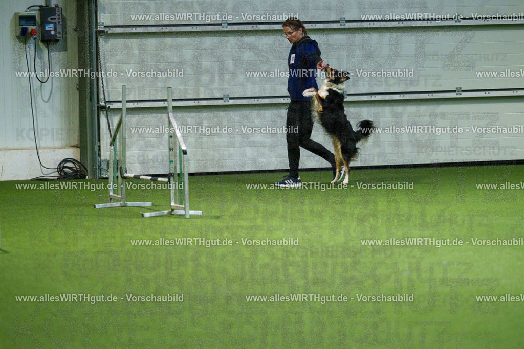 7R508180 | Professionelle Tierfotografie in Mönchengladbach von Daniel Wirth (allesWIRTHgut). Liebevolle & natürliche Bilder von Hunden & Katzen für unvergessliche Erinnerungen.