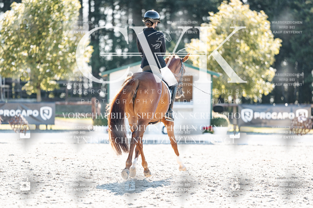 CK906014 | Turnierfotografie Pferdefotografie Trier Rheinland-Pfalz Pferdesport Reitsport Tierfotografie Sportfotografie Pferdevideo Pferdevideografie Equestrianvideography equestrianphotography  - Realisiert mit Pictrs.com