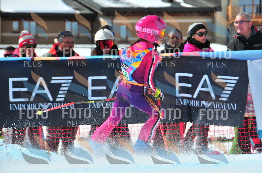 DSC_1282 | holidayphoto