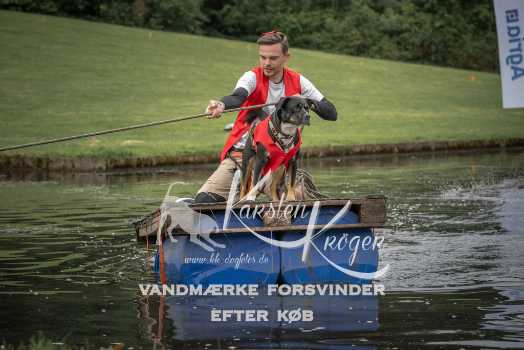 0801_ZZ90219 | kk-dogfotos