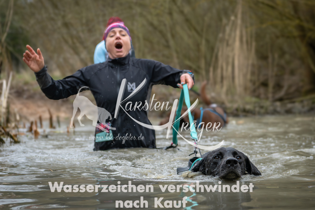 1340_ZZ91526 | kk-dogfotos