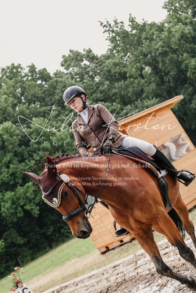 DSC_9520 | Pferde- und Turnierfotografie in Westsachsen. Pferdeportraits, Auftragszeichnungen und intuitive Kunst.
