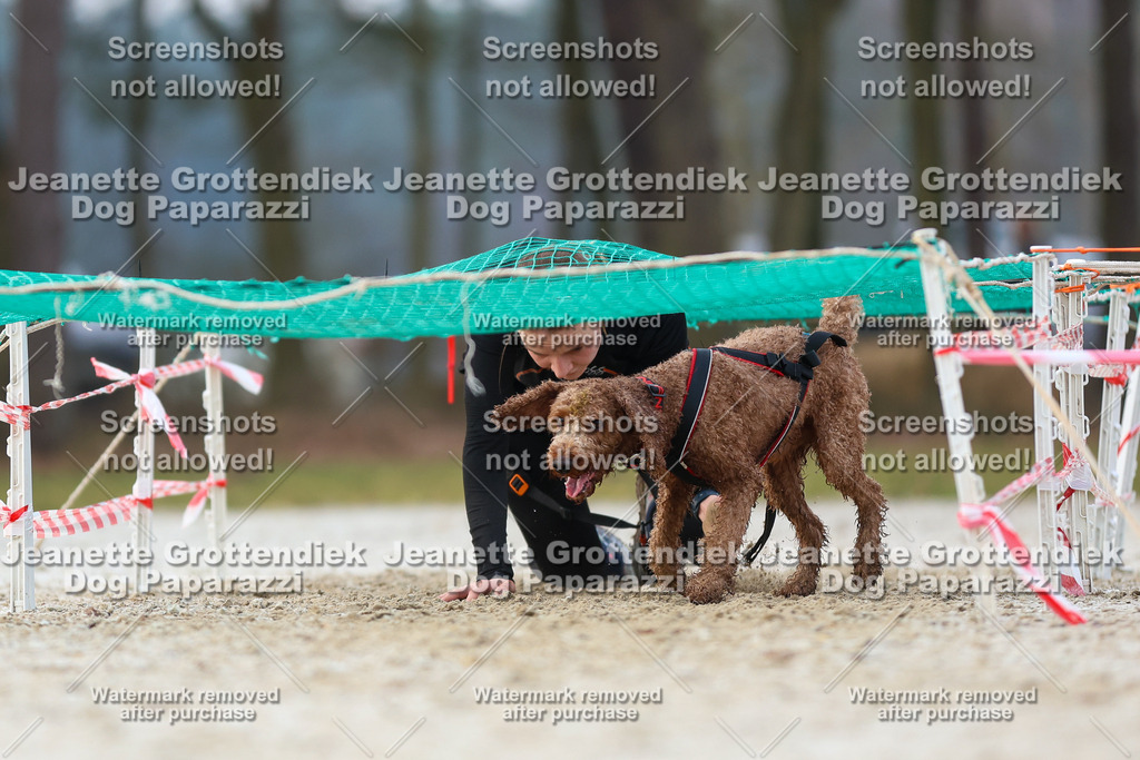 Dog Paparazzi - Strongdog North Mrz26-3681 | Dog Paparazzi Jeanette Grottendiek Fotografie & Videografie - Realisiert mit Pictrs.com