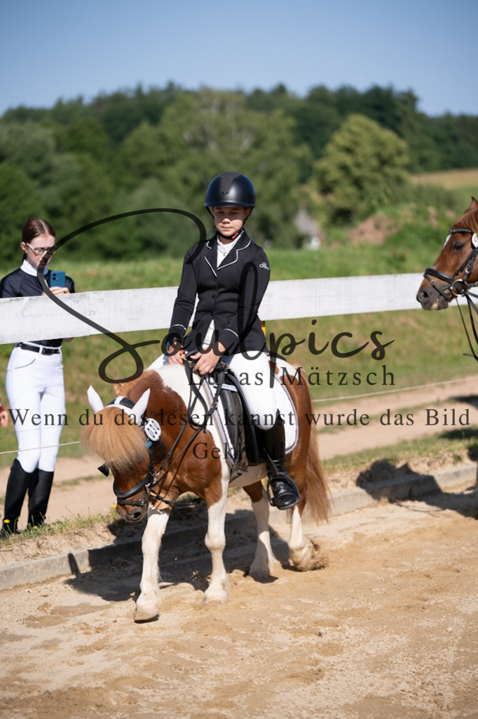 A7V07558 | Pferdefotograf