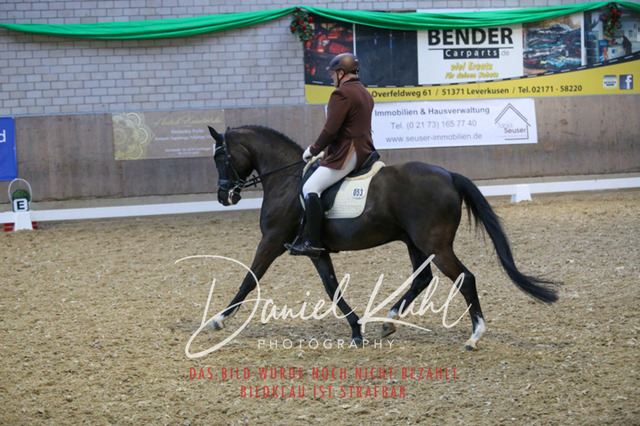 IMG_2843 | Turnierfotos kaufen im Webshop von Daniel Kuhl Photography – entdecke professionelle Reitsportfotos aus Turnieren & Events. Hochwertige Turnierbilder online bestellen & sichern. Jetzt Fotos von Reitsportturnieren kaufen!
