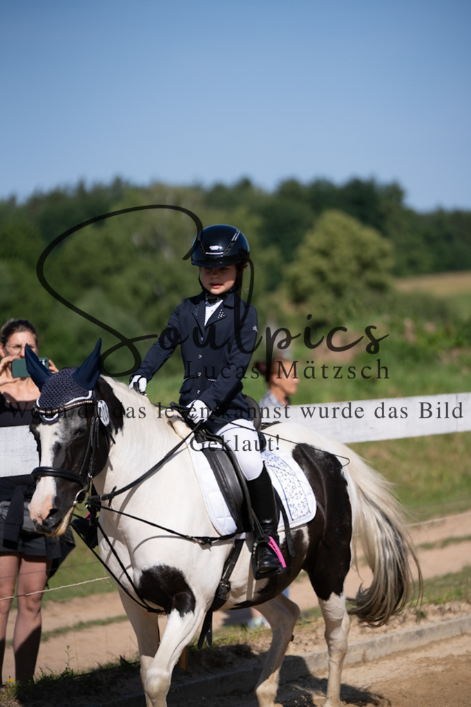 A7V07597 | Pferdefotograf