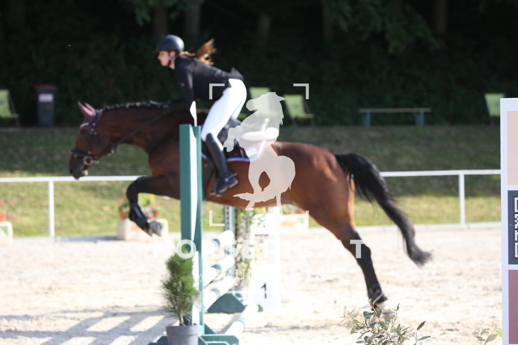 DL2Q0863 | Willkommen bei Brunnmayr - Design & Fotografie – Ihrem Spezialisten für Reitturniere und Pferdeveranstaltungen in Oberösterreich, Salzburg und Bayern! Seit über 17 Jahren sind wir leidenschaftlich dabei.