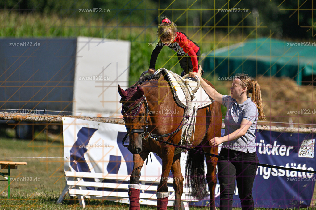 30 Jahre RFV Pulsnitz e.V., Pulsnitz am 09.08.2026 | 30Jahre Reit- und Fahrverein Pulsnitz e.V., Pulsnitz am 08.08.26, Zur 28. breitensportlichen Veranstaltung des RFV Pulsnitz e.V. fanden verschiedene Wettbewerbe in nahezu allen Disziplinen des Pferdesport statt.- Voltigier-Wettbewerb im Schritt - Realisiert mit Pictrs.com