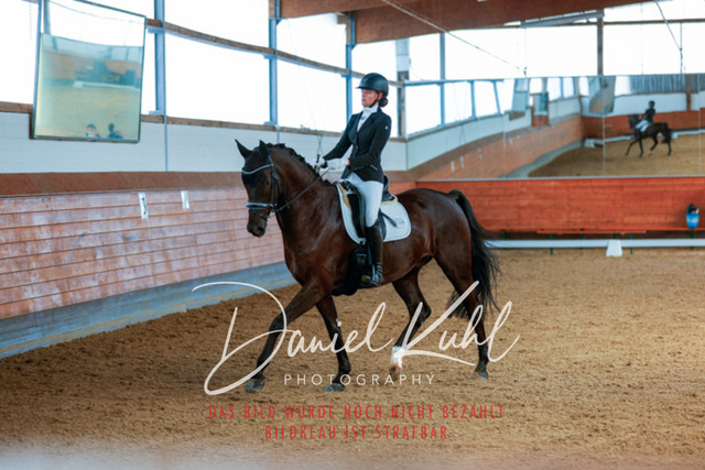 _62_4623 | Turniersportfotografie; Pferdefotografie; Dressurfotografie