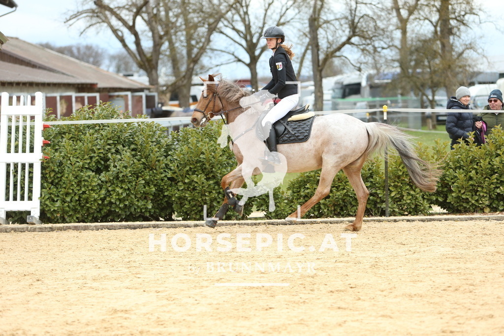 DL2Q2609 | Willkommen bei Brunnmayr - Design & Fotografie – Ihrem Spezialisten für Reitturniere und Pferdeveranstaltungen in Oberösterreich, Salzburg und Bayern! Seit über 17 Jahren sind wir leidenschaftlich dabei.