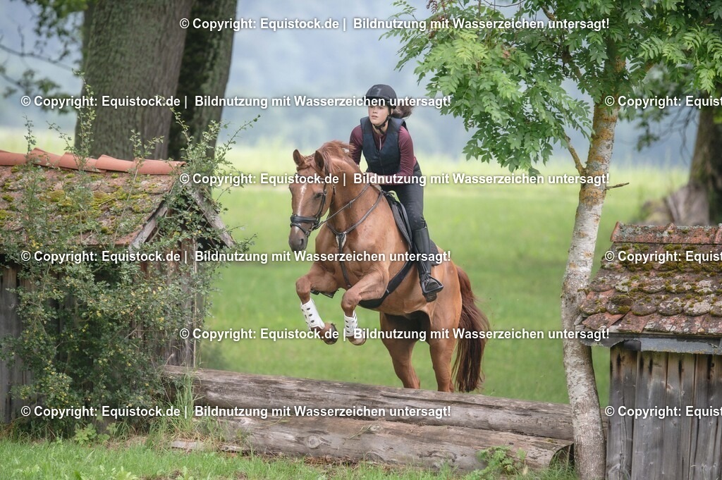 20250726_Vielseitigkeitslehrgang-Marbach_0187 | Foto: Thomas Hartig