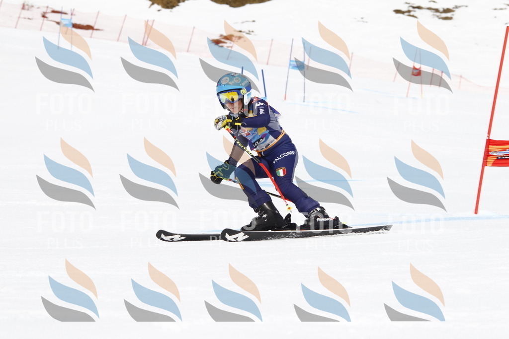 _U3G5912 | holidayphoto