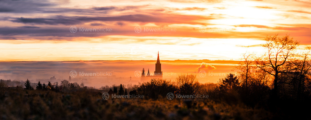 Ulmer Münster bei brennendem Himmel | löwenblicke | shop