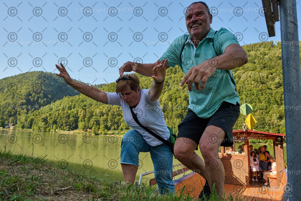 017_202607_Wesenufer_NZ9_9934 | proPHOTO - Realisiert mit Pictrs.com