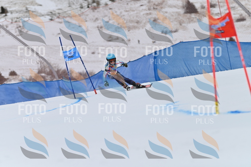 BGV_0424 | holidayphoto