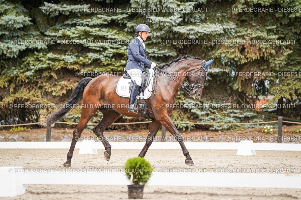 DSC05401 | Pferdegrafie