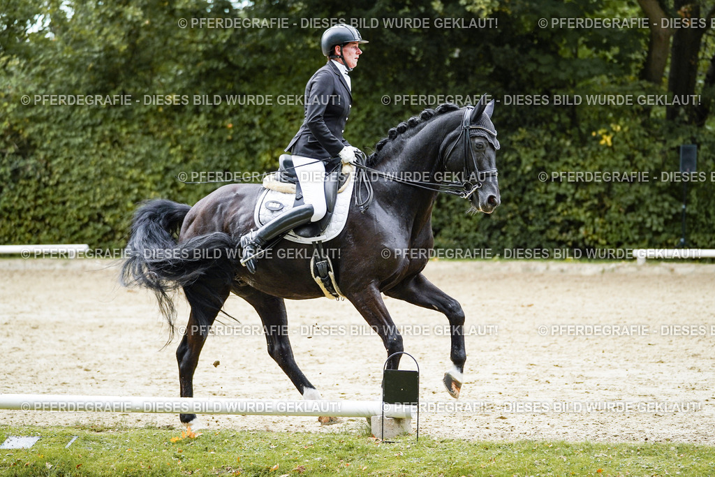 DSC02210 | Pferdegrafie