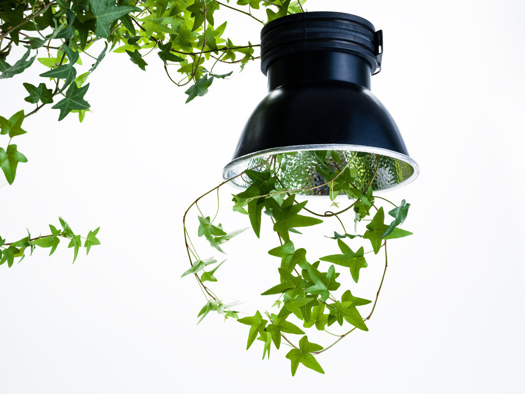 Job_0128-Bearbeitet | AHORN PHOTOGRAPHY - Realisiert mit Pictrs.com