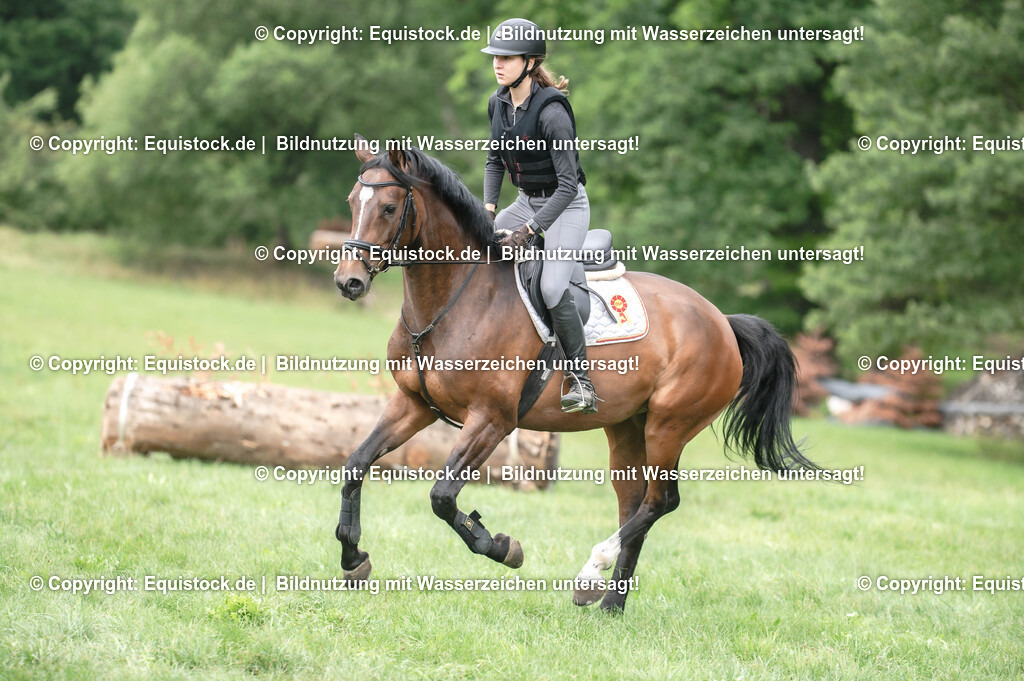 20250726_Vielseitigkeitslehrgang-Marbach_0684 | Foto: Thomas Hartig