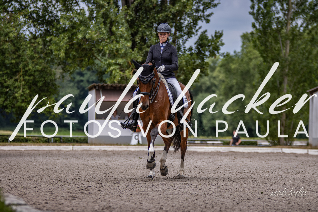 IMG_6439 | Erleben Sie dynamische Sport- und emotionale Tierfotografie in Süddeutschland mit Fotos von Paula. Spezialisiert auf Pferde- und Hundefotografie sowie Sportevents. Kontaktieren Sie mich für einzigartige und ausdrucksstarke Bilder Ihrer besonderen Momente. - Realisiert mit Pictrs.com