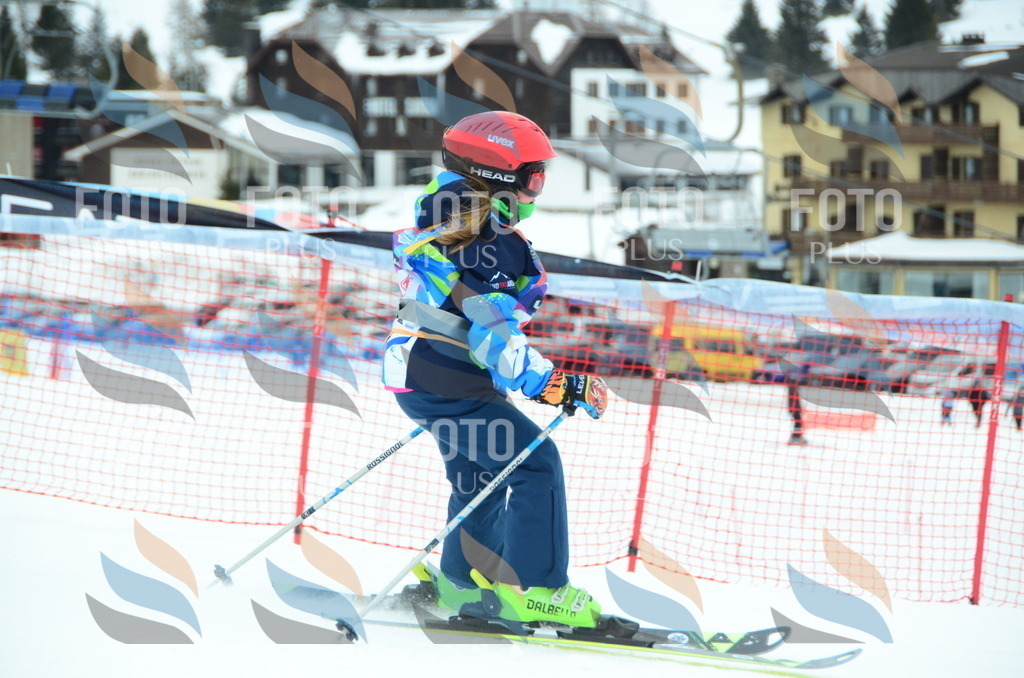 DSC_0753 | holidayphoto