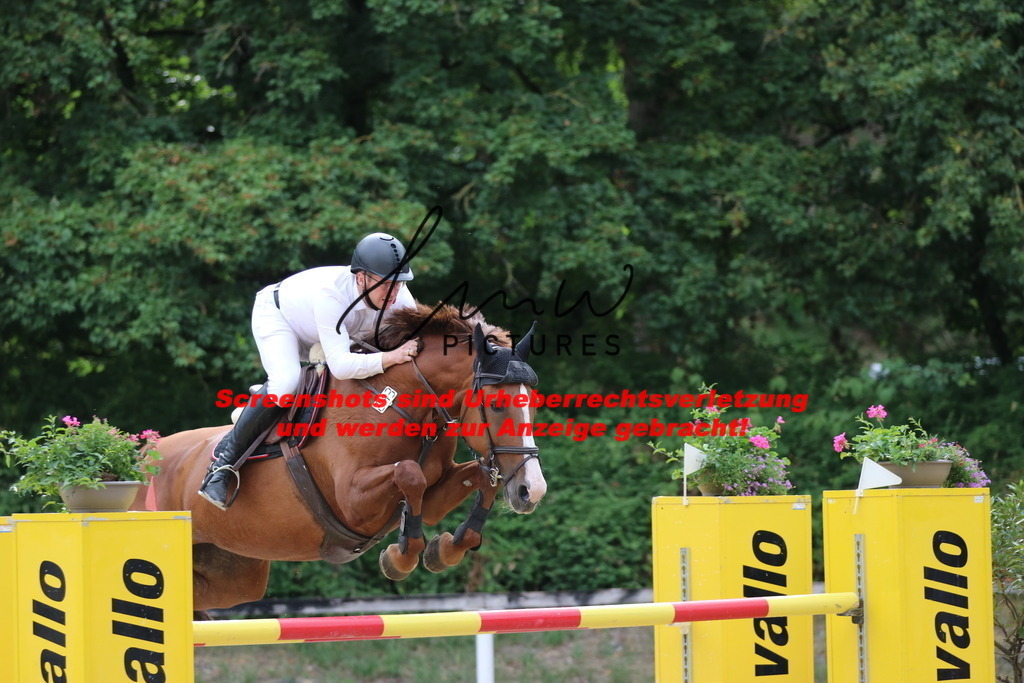 IMG_0884 | lmwpictures - Realisiert mit Pictrs.com