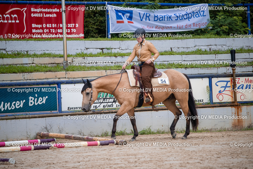 ZS3_4532 | dv-media-shop - Realisiert mit Pictrs.com