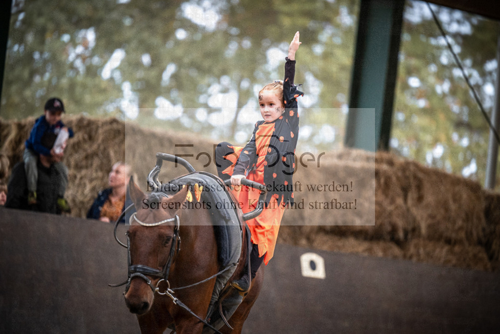 DOS_0084 | Entdecke hochwertige Reitturnierfotos von Foto Oger. Professionell, emotional und authentisch – jetzt Lieblingsmomente im Shop bestellen.Deutschlandweite Turnierfotografie. - Realisiert mit Pictrs.com