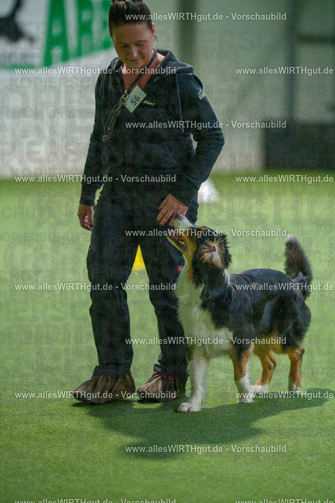 7R506980 | Professionelle Tierfotografie in Mönchengladbach von Daniel Wirth (allesWIRTHgut). Liebevolle & natürliche Bilder von Hunden & Katzen für unvergessliche Erinnerungen.